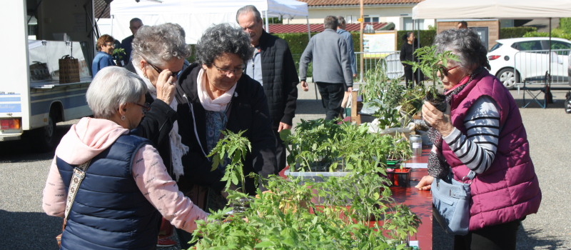 Troc de graines et plants au marché de Pavie