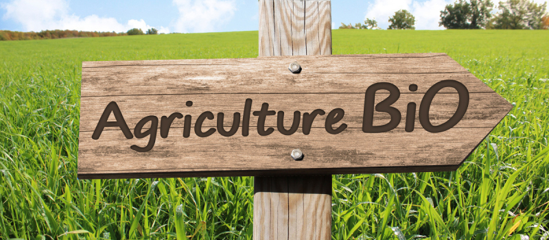 La Région alloue plus de 1,2 M€ pour soutenir et accompagner le développement de l’agriculture biologique en Occitanie