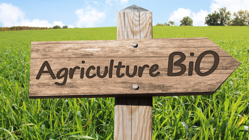 La Région alloue plus de 1,2 M€ pour soutenir et accompagner le développement de l’agriculture biologique en Occitanie