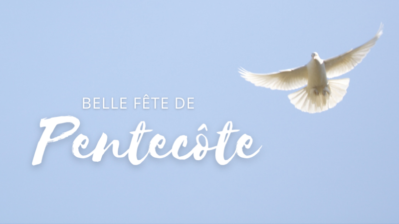 Annonces paroissiales du 23 au 31 mai 2026