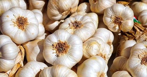 matthiasboeckel-garlic-4461533_1920.jpg