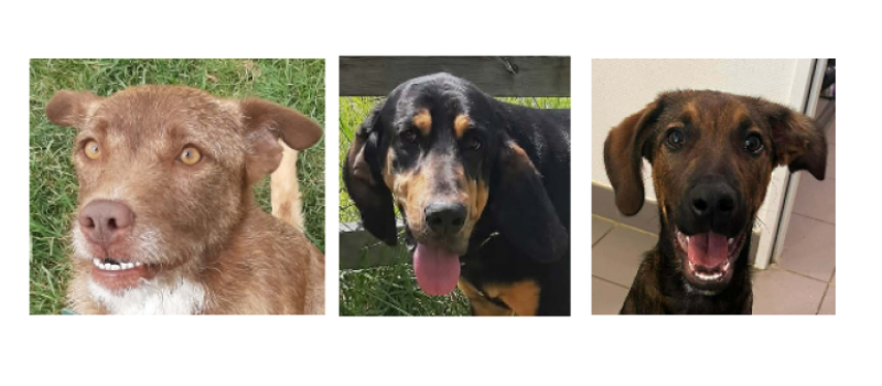 Un jeune trio pour le dernier week-end de mai !
