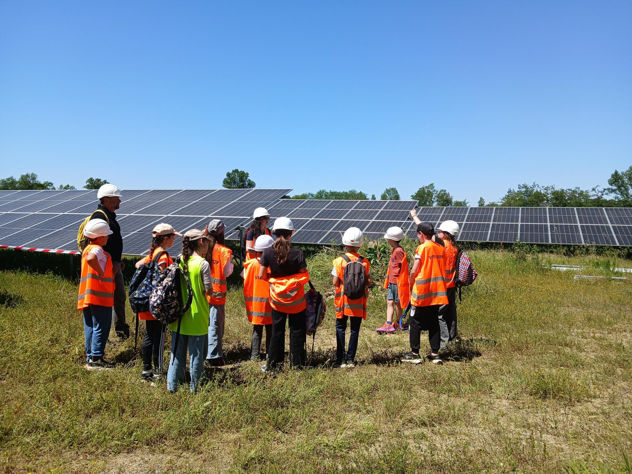 Les élèves des classes de 6ème, répartis en groupe , au sein du parc solaire de Cahuzac