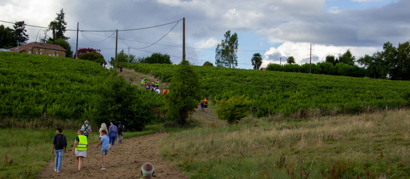 Marche Gourmande sous le Soleil Couchant