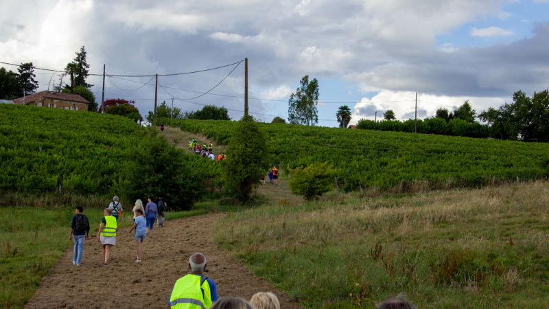 Marche Gourmande sous le Soleil Couchant