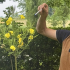 Toujouse : identifier la flore au Musée du paysan Gascon