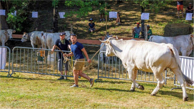 La foire de la madeleine n'aura pas lieu cette année