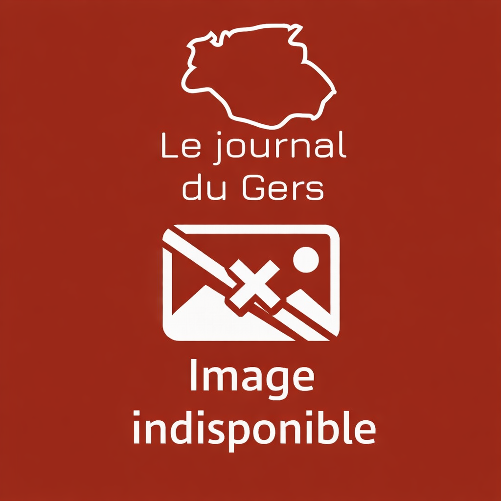 L'Isle-Jourdain : Que faire en Gascogne Toulousaine ce week-end ?
