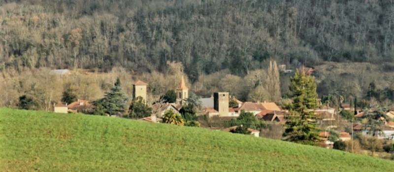 Journée mondiale de l'environnement : quand le patrimoine fige l'avenir