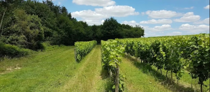 Le Domaine de Burosse ouvre ses portes