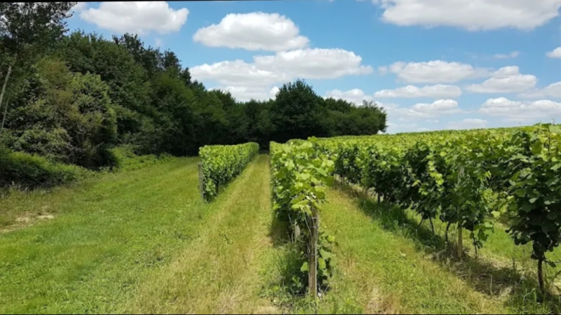 Le Domaine de Burosse ouvre ses portes