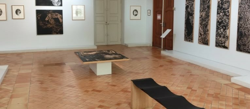 Dernière semaine pour venir profiter de l’exposition d’Iris Miranda !