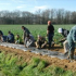 L'Isle-Jourdain : Bénéficiez de plantations de haies gratuites