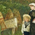 Le deuil des ruches