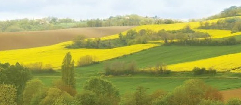 La haine est dans le pré