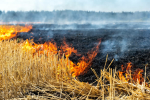 Feux de récoltes sur pied et feux de chaumes : les consignes des sapeurs-pompiers du Gers pour les agriculteurs