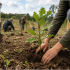 Forêts départementales : Une programmation de travaux pour entretenir et sécuriser les massifs