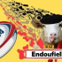 Communauté de Communes de la Gascogne Toulousaine : Que faire en Gascogne Toulousaine ce week-end ?