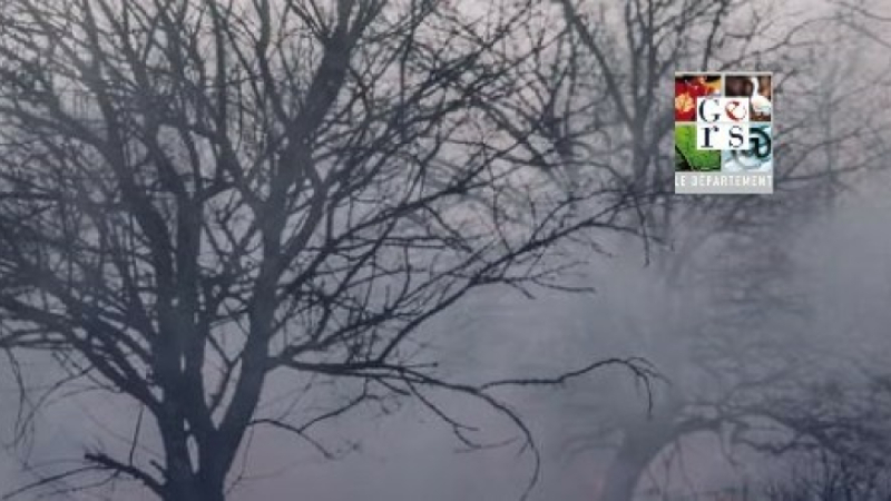 Feux de forêt : adoptons les bons réflexes