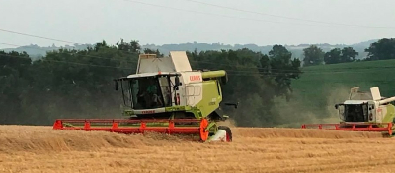 Moissons de l'été