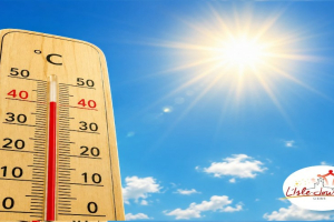 Vigilance Canicule - La Ville mobilisée