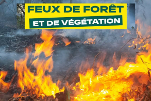 Mesures de restriction des activités en forêt