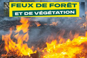 Mesures de restriction des activités en forêt