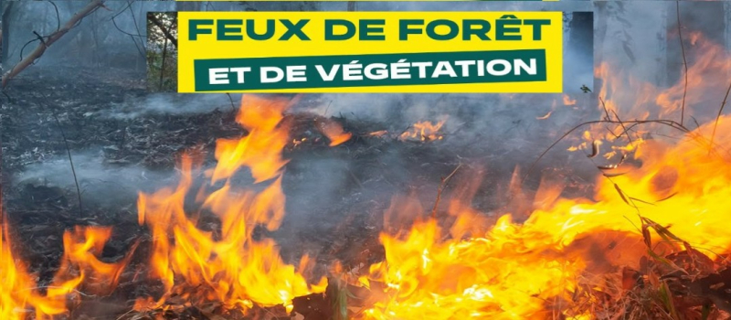 Mesures de restriction des activités en forêt