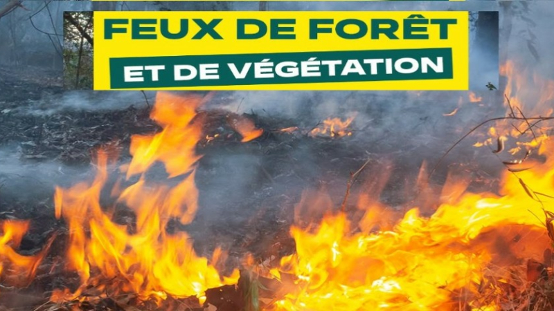 Mesures de restriction des activités en forêt