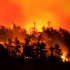 Vigilance danger sévère feu de forêt : activation de mesures de restriction des activités en forêt pour limiter le risque d’incendie