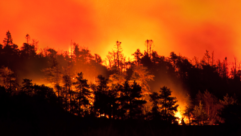 Vigilance danger sévère feu de forêt : activation de mesures de restriction des activités en forêt pour limiter le risque d’incendie