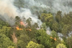 Canicule et risque d'incendie : le Conseil départemental du Gers ferme l'accès à ses massifs forestiers