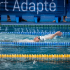 Trois nageurs gersois au rendez-vous des Championnats de France de Para Natation Adapté