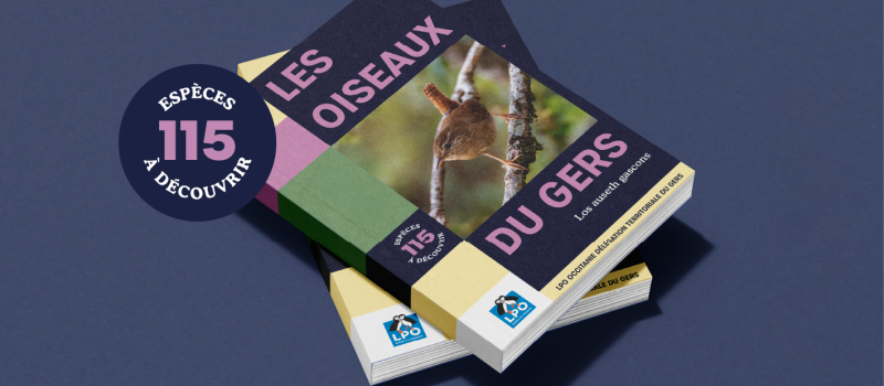 La LPO Gers lance un financement participatif pour publier le premier livre consacré aux oiseaux du département