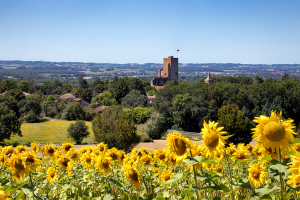 Tour de Termes-d'Armagnac, heures d'ouverture modifiées