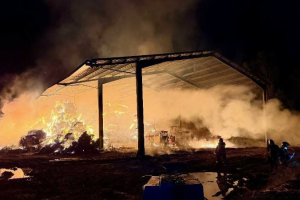 Un important incendie détruit un hangar et 300 m2 de végétation.