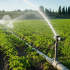 Front commun des Jeunes agriculteurs 31, 32, 47, 65 et 82 face aux mesures de restriction d'irrigation