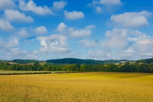 Loi d’urgence agricole en Commission Mixte Paritaire : le triomphe des lobbies, l'échec de la politique !