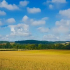 Loi d’urgence agricole en Commission Mixte Paritaire : le triomphe des lobbies, l'échec de la politique !