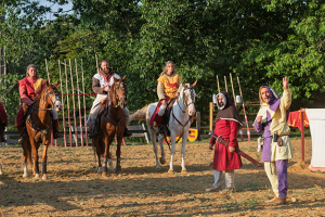 Festival médiéval de la Tour de Termes-d'Armagnac