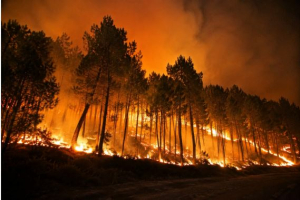 Incendies en Gironde : le Département du Gers lance un appel aux hébergements solidaires