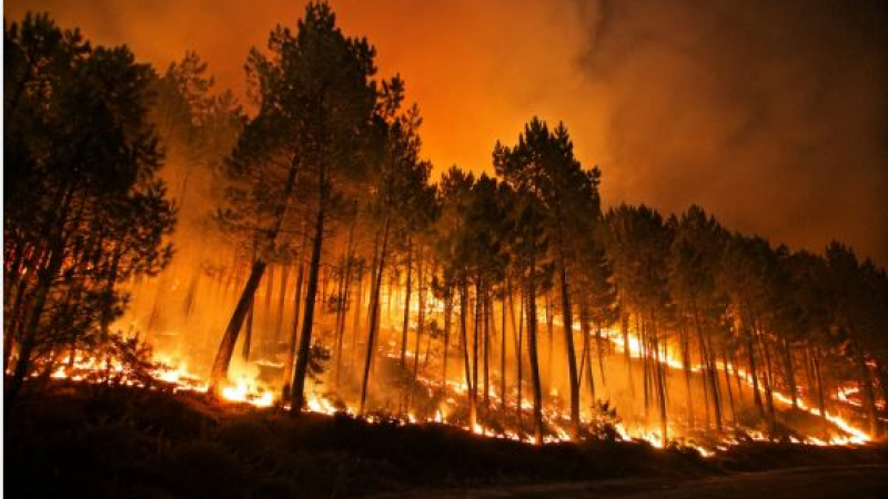 Incendies en Gironde : le Département du Gers lance un appel aux hébergements solidaires
